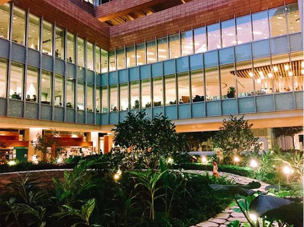 香港大学_23