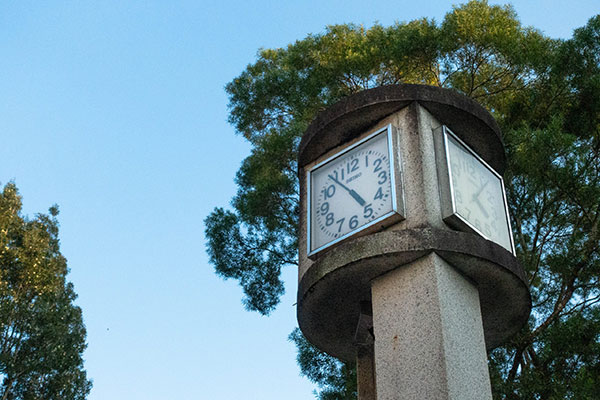 香港中文大学_5