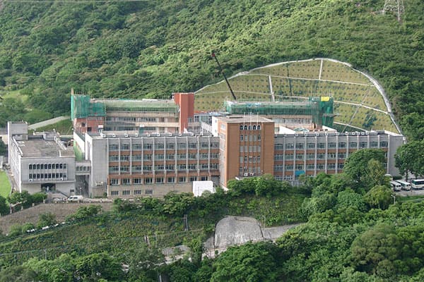 德望学校在香港怎么样（德望学校面试内容）